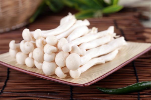 白玉菇食用菌菇中的“金枝玉叶”