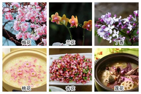 18种食用鲜花让你的食谱锦上添花