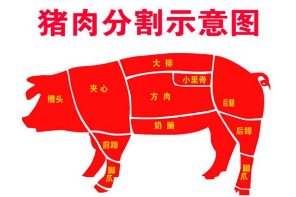 猪肉食材的用途与分割
